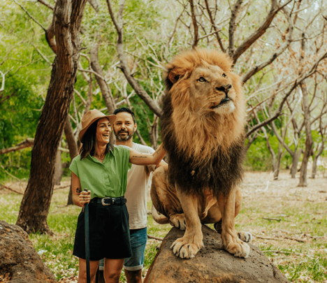 Wild Encounters